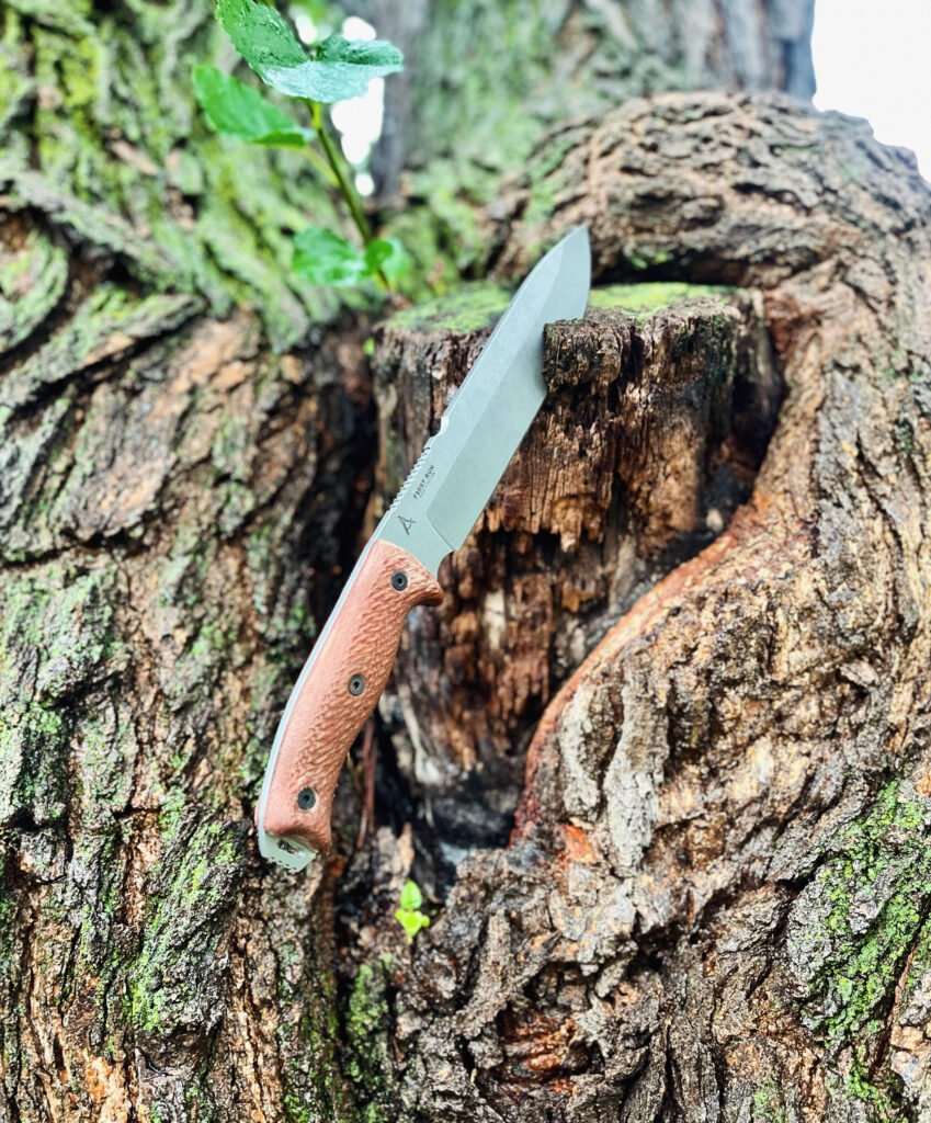 Image #1 from Lucas Carroll